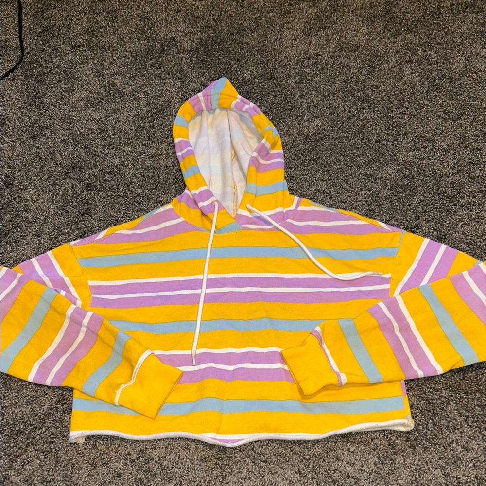 Brandy Melville Multicolor Striped Hoodie